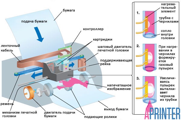 Обзор 3D-принтеров с функцией печати на гибких материалах гибкий