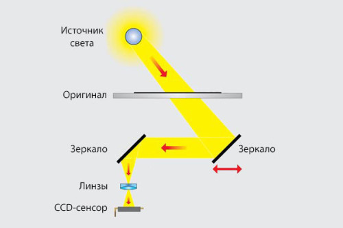 Сканирование пленок планшетным сканером